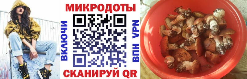Галлюциногенные грибы Psilocybine cubensis  магазин    Вольск 