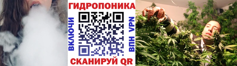 закладки  Вольск  Конопля план 